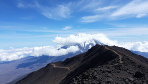 Climbing Mount Kilimanjaro: Difficulty, Deaths, and Beginner Tips